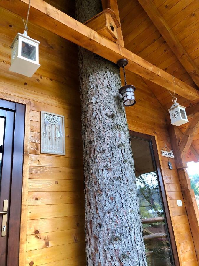 Domeniul Horj Casa Din Deal Moisei Exterior foto